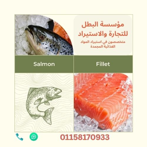 البطل لتجارة وتوريد الاسماك